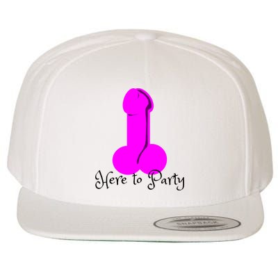 Here To Party Dick Dirty Funny Adult Sex Joke Gift Idea Wool Snapback Cap