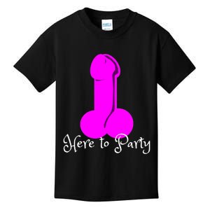 Here To Party Dick Dirty Talk Funny Adult Sex Joke Gift Idea Kids T-Shirt