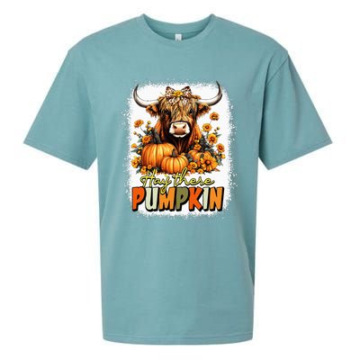 Hay There Pumpkin Highland Cow Thanksgiving Fall Autumn Sueded Cloud Jersey T-Shirt