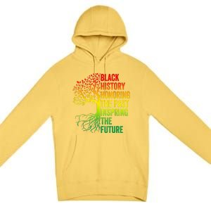 Honoring The Past Inspiring The Future Black History Month Premium Pullover Hoodie