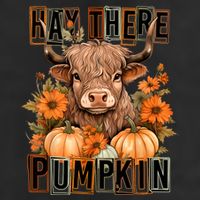 Hay There Pumkin Highland Cow Fall Autumn Thanksgiving 11oz C Handle Ceramic Mug
