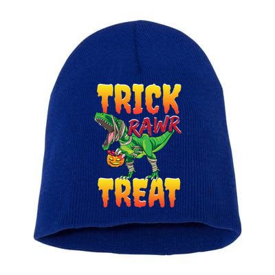 Halloween T Rex Dinosaur Costume Trick Rawr Treat Gift Short Acrylic Beanie