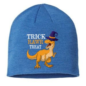 Halloween T Rex Dinosaur Trick Rawr Treat Meaningful Gift Sustainable Beanie