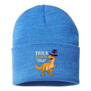 Halloween T Rex Dinosaur Trick Rawr Treat Meaningful Gift Sustainable Knit Beanie