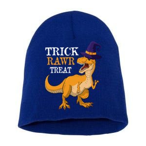 Halloween T Rex Dinosaur Trick Rawr Treat Meaningful Gift Short Acrylic Beanie