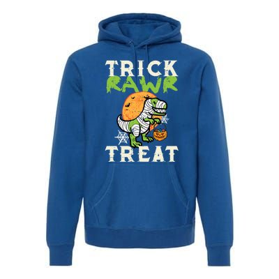 Halloween Trick Rawr Treat Dino Trex Costume Cool Gift Premium Hoodie