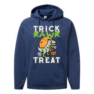 Halloween Trick Rawr Treat Dino Trex Costume Cool Gift Performance Fleece Hoodie