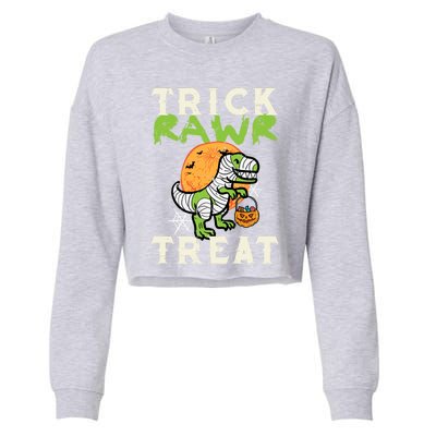 Halloween Trick Rawr Treat Dino Trex Costume Cool Gift Cropped Pullover Crew