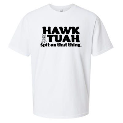 Hawk Tuah Spit On That Thang Sueded Cloud Jersey T-Shirt