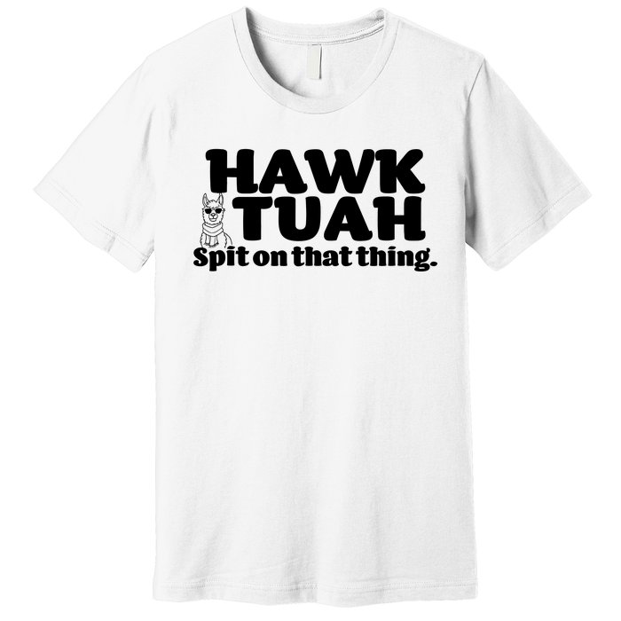 Hawk Tuah Spit On That Thang Premium T-Shirt