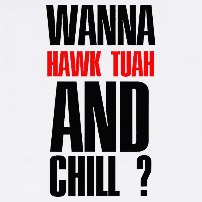 Hawk Twah Spit On That Thang Funny T-Shirt
