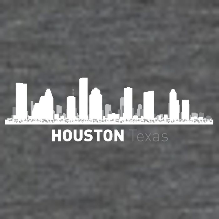 Houston Texas Skyline Womens T-Shirt