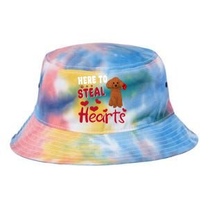 Here To Steal Hearts Funny Toy Poodle Dog Valentines Day Gift Tie Dye Newport Bucket Hat