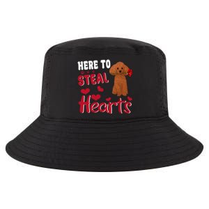 Here To Steal Hearts Funny Toy Poodle Dog Valentines Day Gift Cool Comfort Performance Bucket Hat