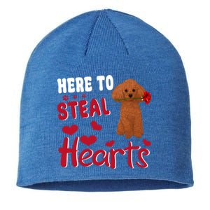 Here To Steal Hearts Funny Toy Poodle Dog Valentines Day Gift Sustainable Beanie