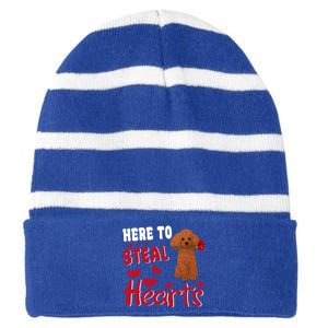 Here To Steal Hearts Funny Toy Poodle Dog Valentines Day Gift Striped Beanie with Solid Band