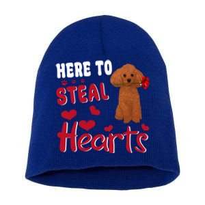 Here To Steal Hearts Funny Toy Poodle Dog Valentines Day Gift Short Acrylic Beanie