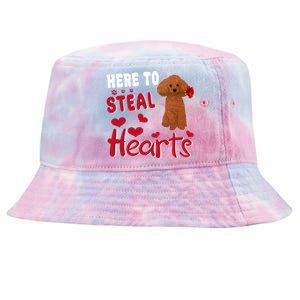 Here To Steal Hearts Funny Toy Poodle Dog Valentines Day Gift Tie-Dyed Bucket Hat