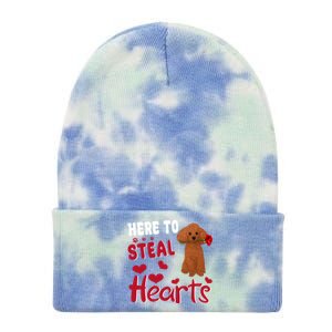 Here To Steal Hearts Funny Toy Poodle Dog Valentines Day Gift Tie Dye 12in Knit Beanie