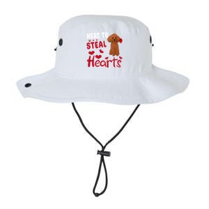 Here To Steal Hearts Funny Toy Poodle Dog Valentines Day Gift Legacy Cool Fit Booney Bucket Hat