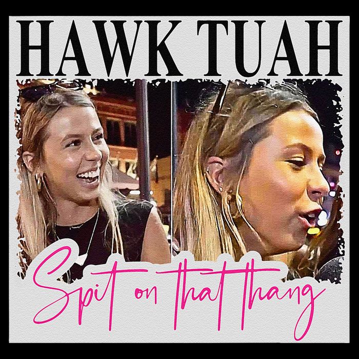Hawk Tauh Spit On That Thang Funny Hawk Tauhmeme 2024 Wool Snapback Cap