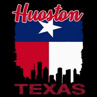 Houston Texas Skyline Vintage Houston Texas Flag T-Shirt