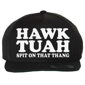 Hawk Tush Spit On That Thing Funny Viral Saying Parody Wool Snapback Cap