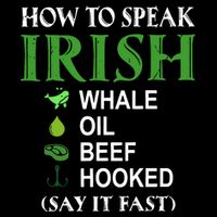 How To Speak Irish Youth Performance Sprint T-Shirt