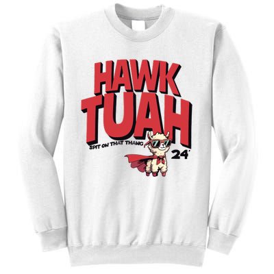 Hawk Tuah Spit On That Thang 2024 Sweatshirt