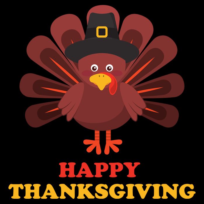 Happy Thanksgiving Turkey Holiday Festive Bag