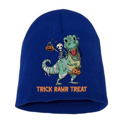 Halloween Trex Tgiftrex Trick Rawr Treat Funny Dinosaur Mummy Gift Short Acrylic Beanie