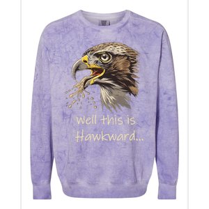 Hawk Tua Well This Is Hawkward Funny Viral Video Colorblast Crewneck Sweatshirt