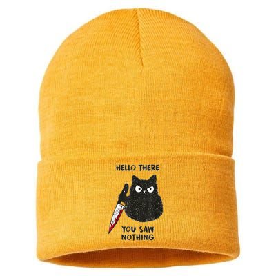 Hello There You Saw Nothing Funny Cat Gift Sustainable Knit Beanie