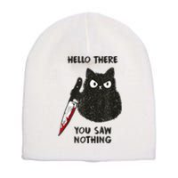 Hello There You Saw Nothing Funny Cat Gift Short Acrylic Beanie