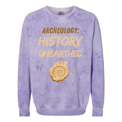 History Unearthed Archeologist Dig Archeology Colorblast Crewneck Sweatshirt