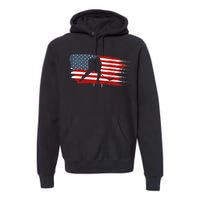 Hockey Usa Flag American Flag Patriotic Ice Hockey Premium Hoodie