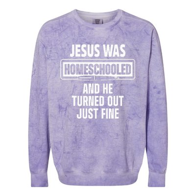 Homeschool Unschooling Jesus Homeschooled Colorblast Crewneck Sweatshirt