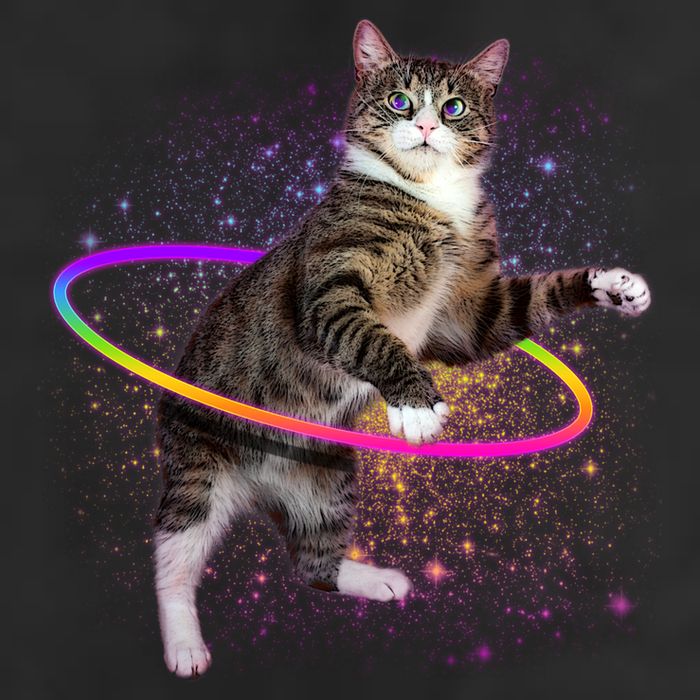 Hula Hoop Galaxy Cat Cool Comfort Performance Bucket Hat