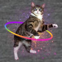 Hula Hoop Galaxy Cat Wool Snapback Cap