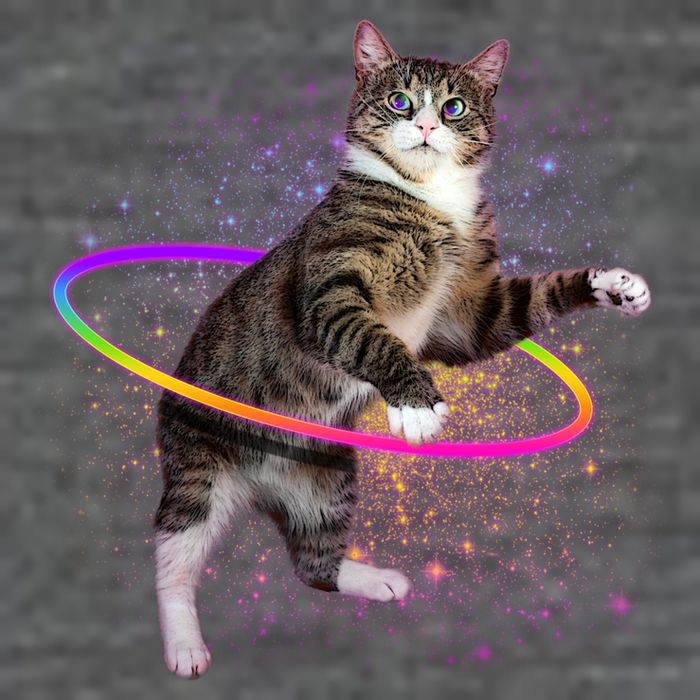 Hula Hoop Galaxy Cat Wool Snapback Cap