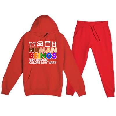 Human Beings 100 Percent Organic Colors May Vary Premium Hooded Sweatsuit Set