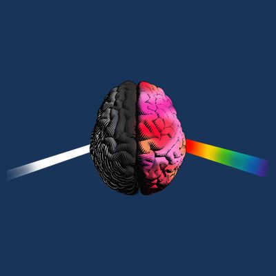 Human Brain Gay Rainbow T-Shirt
