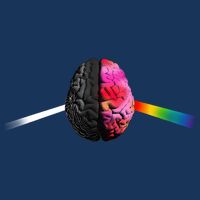 Human Brain Gay Rainbow Full Zip Hoodie