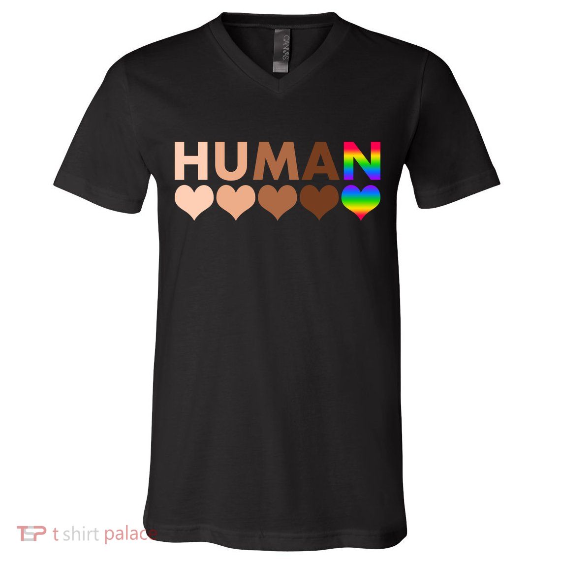 Human Diversity Human Rights V-Neck T-Shirt