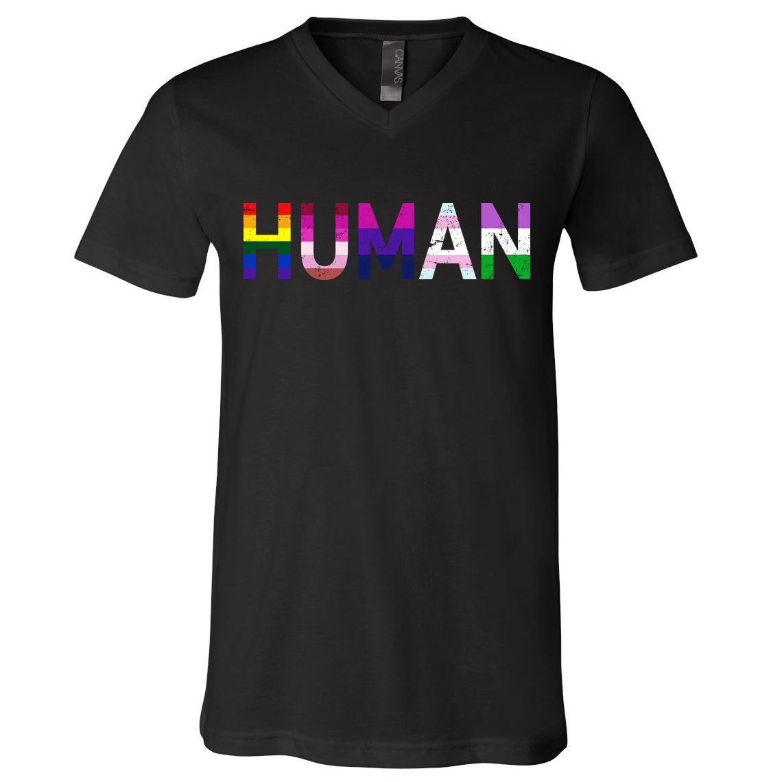 Human Flag LGBT Gay Pride V-Neck T-Shirt