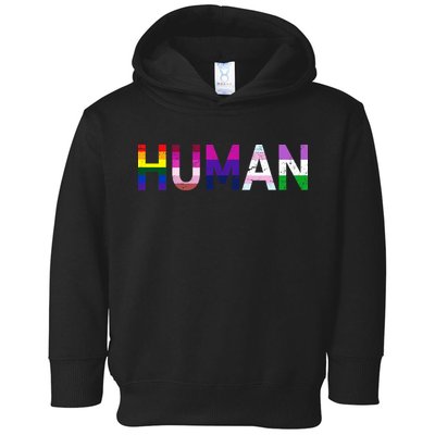 Human Flag LGBT Gay Pride Toddler Hoodie