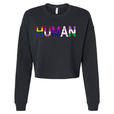 Human Flag LGBT Gay Pride Cropped Pullover Crew