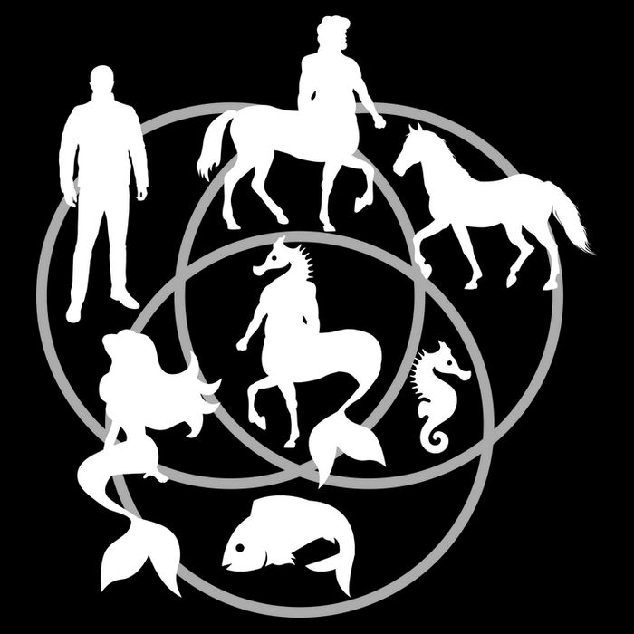 Human Horse Fish Venn Diagram Drawstring Bag