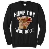 Hump Day Woo Hoo Camel Face Tall Sweatshirt