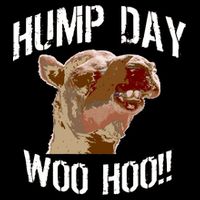Hump Day Woo Hoo Camel Face Toddler Hoodie